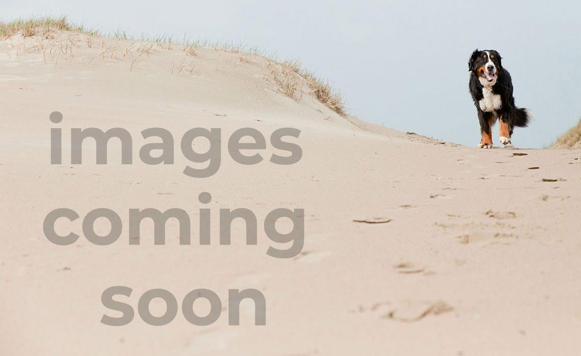 River Retreat Condo: serenity with great...